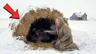 How a North Dakota Widow’s “RIDICULOUS” Hay Igloo Saved Every Newborn Calf