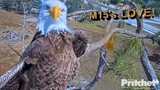 SWFL Eagles ~ M15's LOVE ❤️ Dad's Perfect Heraldic Pose ❤️ Hugging You All!