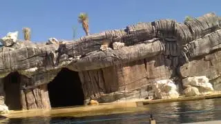 Mammifère marin Seaquarium Le Grau du roi