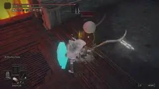 ELDEN RING Manor invasion