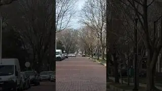 Down The Old Red Brick Road