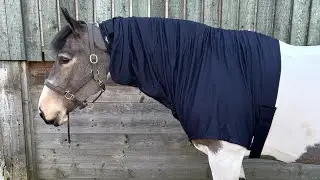 Snuggy Hoods - Fitting a pull on Headless Turn Out Hood