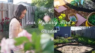My Early Bird Garden - Our documentary film of gardening for 2 years| How it changed?