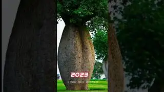2023 tree 🌲 and 5000 bce monster tree 🌲 #viral #shots #5000bce