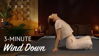 3-minute wind down routine on the bed | Meditation and mindfulness | Wakeout
