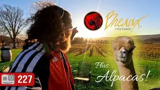 Breaux Vineyards And The Alpaca Farm | Purcellville, VA | ADV 227