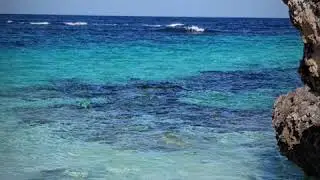 Rottness Island