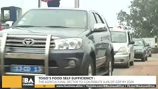 TOGO'S FOOD SELF SUFFICIENCY: THE AGRICULTURAL SECTOR TO CONTRIBUTE 4.6% OF GDP BY 2024
