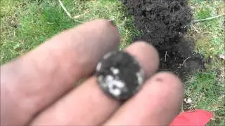 Metal Detecting -- Silver Quarter Spill,  Old Silver, Nickels, And An Indian