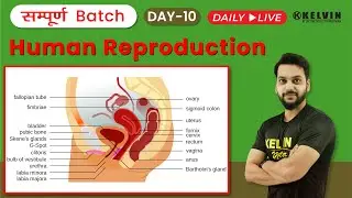 CBSE Class 12 Boards 2021: Biology - Human Reproduction | सम्पूर्ण Batch Day-10 | KELVIN 9to12