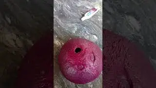coconut shell recycle ♻️