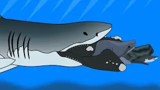 Fish Eat Fish Size Comparison // Ending With Great White Shark