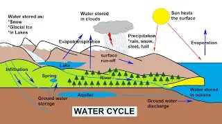 The Water Cycle Explained