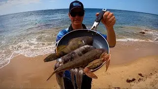 Jetty Fishing | CATCH, CLEAN, COOK - (Part 2)