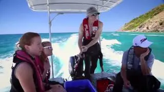 Earthwatch Expedition, Recovery of the Great Barrier Reef