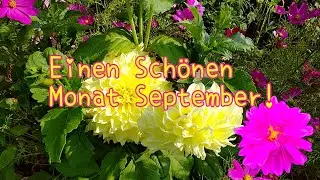 Herzliche Gr&uuml;&szlig;e zum September💕 W&uuml;nsche Dir einen wundersch&ouml;nen September🌞🍀🦋 September Gr&uuml;&szlig;e f&uuml;r Dich