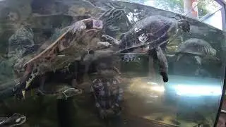 Haus des Meeres Vienna Aquarium