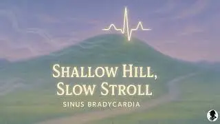 02. Shallow Hill, Slow Stroll (Sinus Bradycardia)