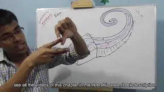 hsc zoology chapter 8 lecture 6 part 2