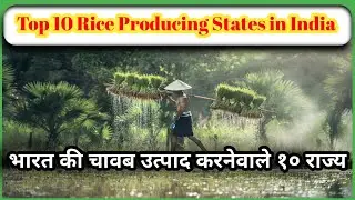 Top 10 Rice Producing States in India/भारत की १० चावल उत्पाद करनेवाले राज्य