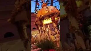 CASINOS IN LAS VEGAS, BELLAGIO FALL DISPLAY AT THE SOLARIUM