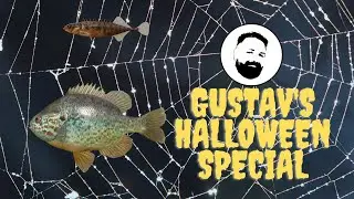 Russian Fishing 4 - Gustav's Halloween Special! (Pumpkinseed Sunfish/Nine-spined stickleback)