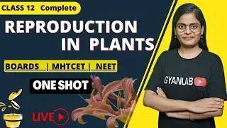 One Shot | Class 12 | Chapter 1 Reproduction In Plants | Gyanlab | Anjali Patel