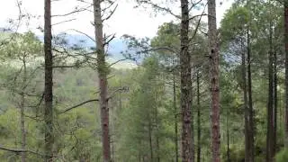 Route to Loharjung from Kathgodam...