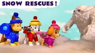 Mighty Pup Snow Rescue Stories