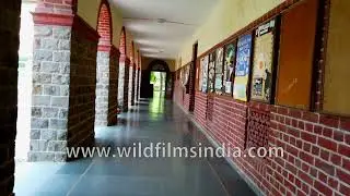 Miranda House walk-through from Delhi University north campus - Number One college in India?