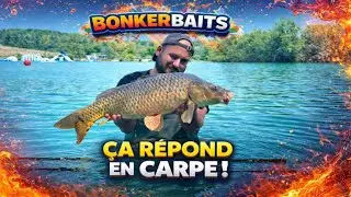 Nathan en action : &Ccedil;a r&eacute;pond en carpe ! | Bonkerbaits
