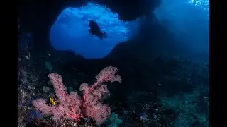 Diving Boo West, Boo East and Boo Windows, Misool, Raja Ampat