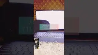 Voice over demo 711 &ldquo;No copyright infringement intended&rdquo;.
