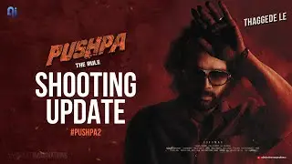 Pushpa 2 Shooting Update | Pushpa 2 First Look Update | Allu Arjun | Abishek's Imaginations