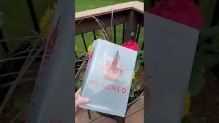 Обзор книги 2025 года (как завершение подростковой антиутопии)
