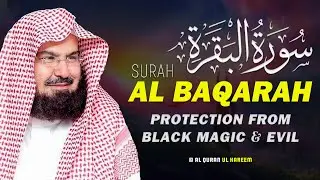 Surah Al Baqarah (سورة البقره) Full | Most Beautiful & Heart Touching Recitation