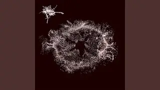 Fractal Abyss