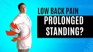 Fix Low Back Pain with Prolonged Standing (3 Levels of Beginner Planks)