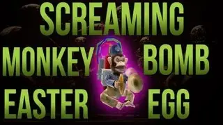 Screaming on Fire Monkey Bomb Easter Egg! Tranzit Zombies Easter Egg!