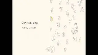 the strange boy - walking two by two