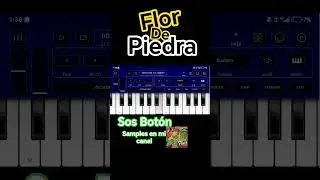 Sos Boton(Parte Final) - Flor de Piedra SF2 Samples #sf2 #cumbia #piano #musica
