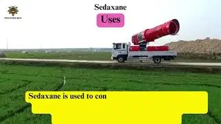 Sedaxane Fungicide, Chemistry, Mode of Action, Uses, and Dosage