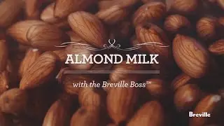 Almond Milk Recipe powered by the best Breville Boss Blender