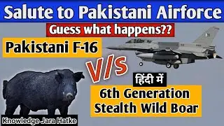 Pakistan Airforce's F16 vs Wild Boar incident | million dollars jet destroyed in seconds?