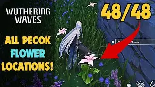 All 48 Pecok Flower Locations | Wuthering Waves