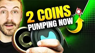 2 Coins Moving Against the Crypto Crash: Hyperliquid HYPE and Canton CC