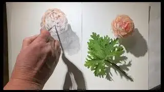 Flower Drawing Process | Calm & Relaxing Art .                                     