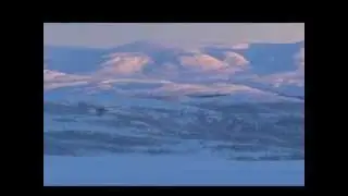 Arctic Circle Swedish Lapland