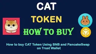 How to Buy CAT Token (CAT) Using BNB and PancakeSwap On Trust Wallet