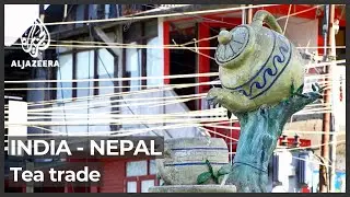 Tea trade between India and Nepal unregulated